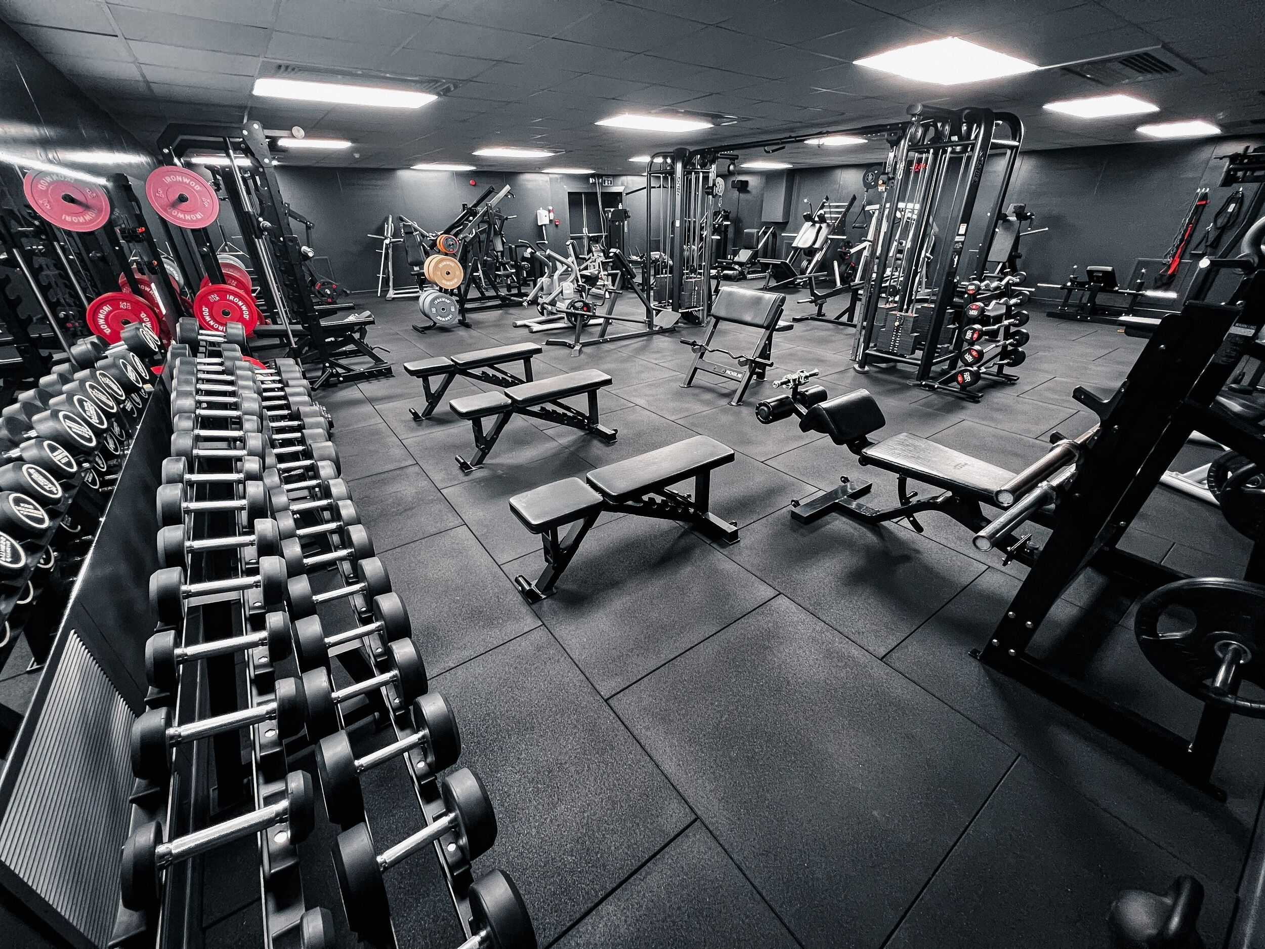 Rise Gym Home Independent Gym in East Kilbride